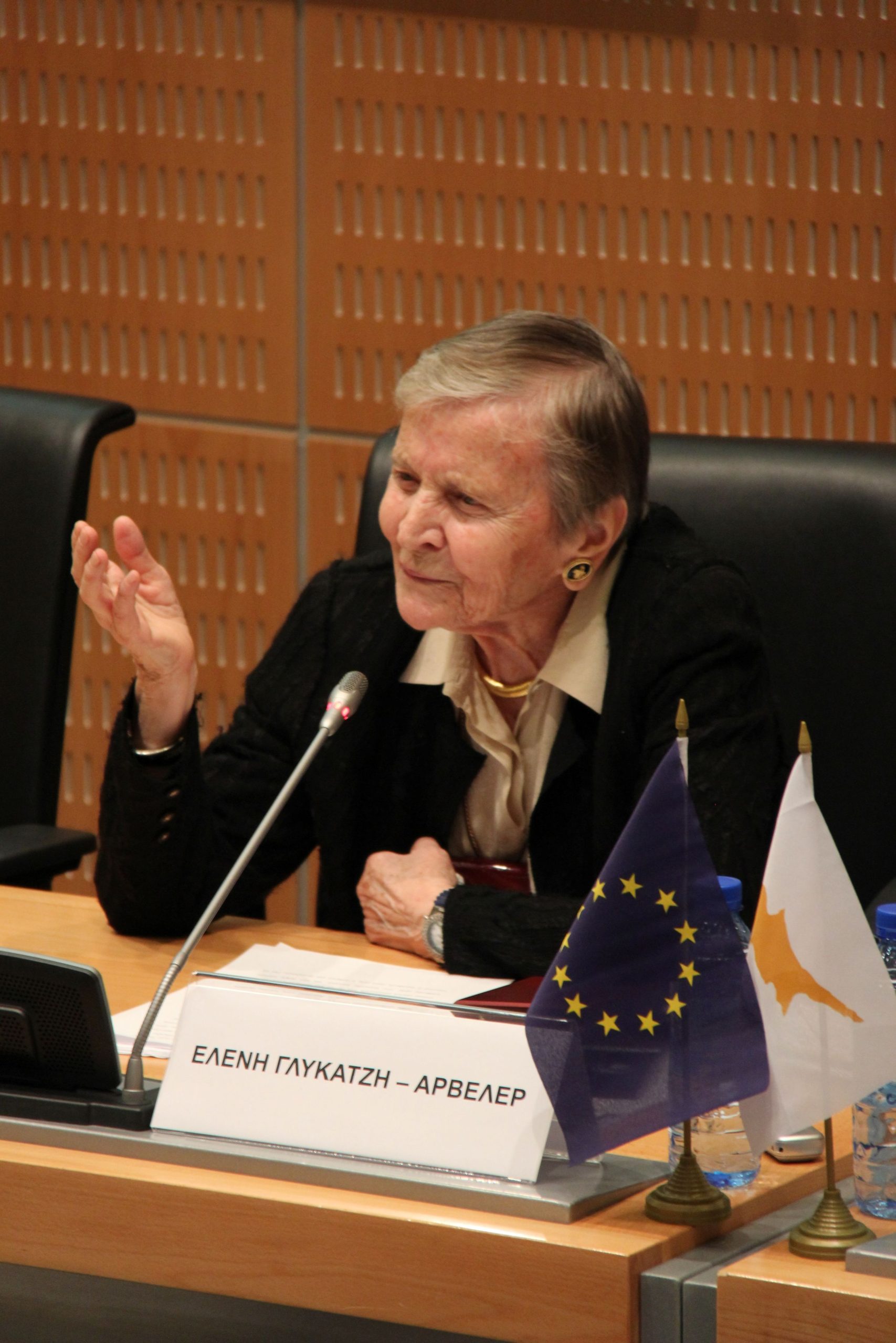 Ελένη Γλύκατζη Αρβελέρ 3