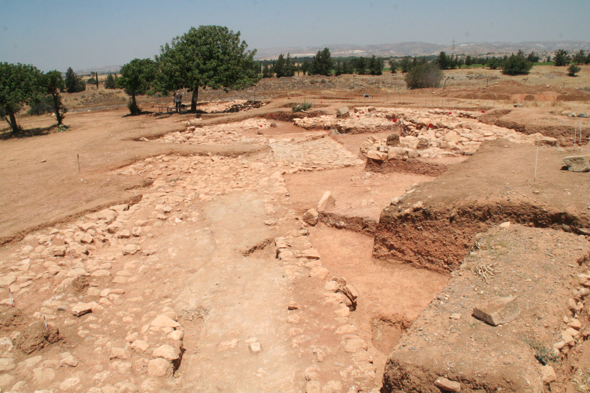 5._General_view